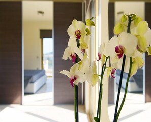 A hotel room with a large window, a bed, and a mirror reflecting the room. - Stelia Luxury Apartments  (Rhodes)