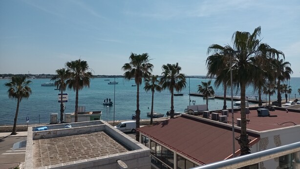 Blick auf die Küste mit Palmen, einem Yachthafen und einem Gebäude mit rotem Dach.