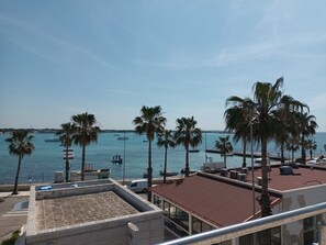 A coastal view with palm trees, a marina, and a building with a red roof. - DIO DEL MARE LUXURY ROOM (Porto Cesareo)