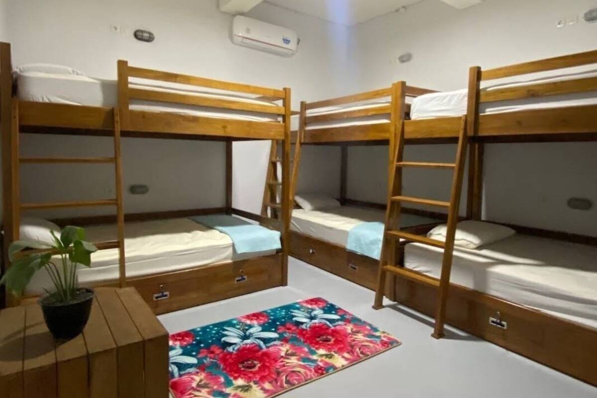 A room with three bunk beds, a small desk with a plant, and a colorful rug.