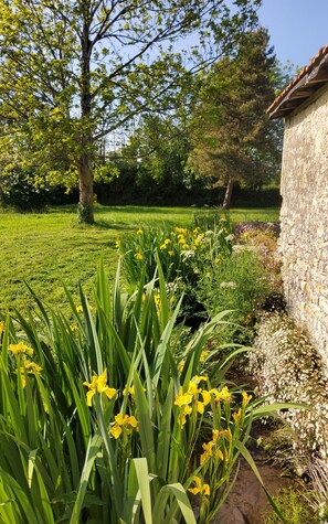 Property grounds - Charming renovated barn on the outskirts of Sainte-Mère-Église  (Sainte-Mère-Église)