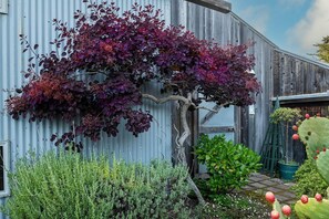 Un jardín con una variedad de plantas, incluyendo un árbol de hojas moradas y un cactus con frutos rojos.