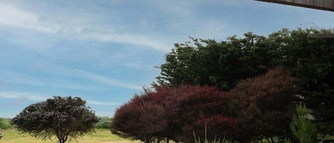 Una taula rodona blava amb quatre cadires, una tetera vermella i una panxa vella blava.