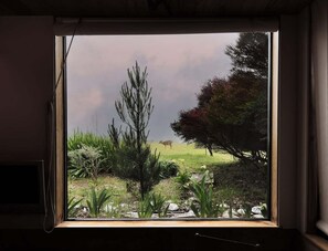 Unclassified image, 3 of 70, button - Tin Roof | Courtyard Retreat Near Bluff Trails (Sea Ranch)