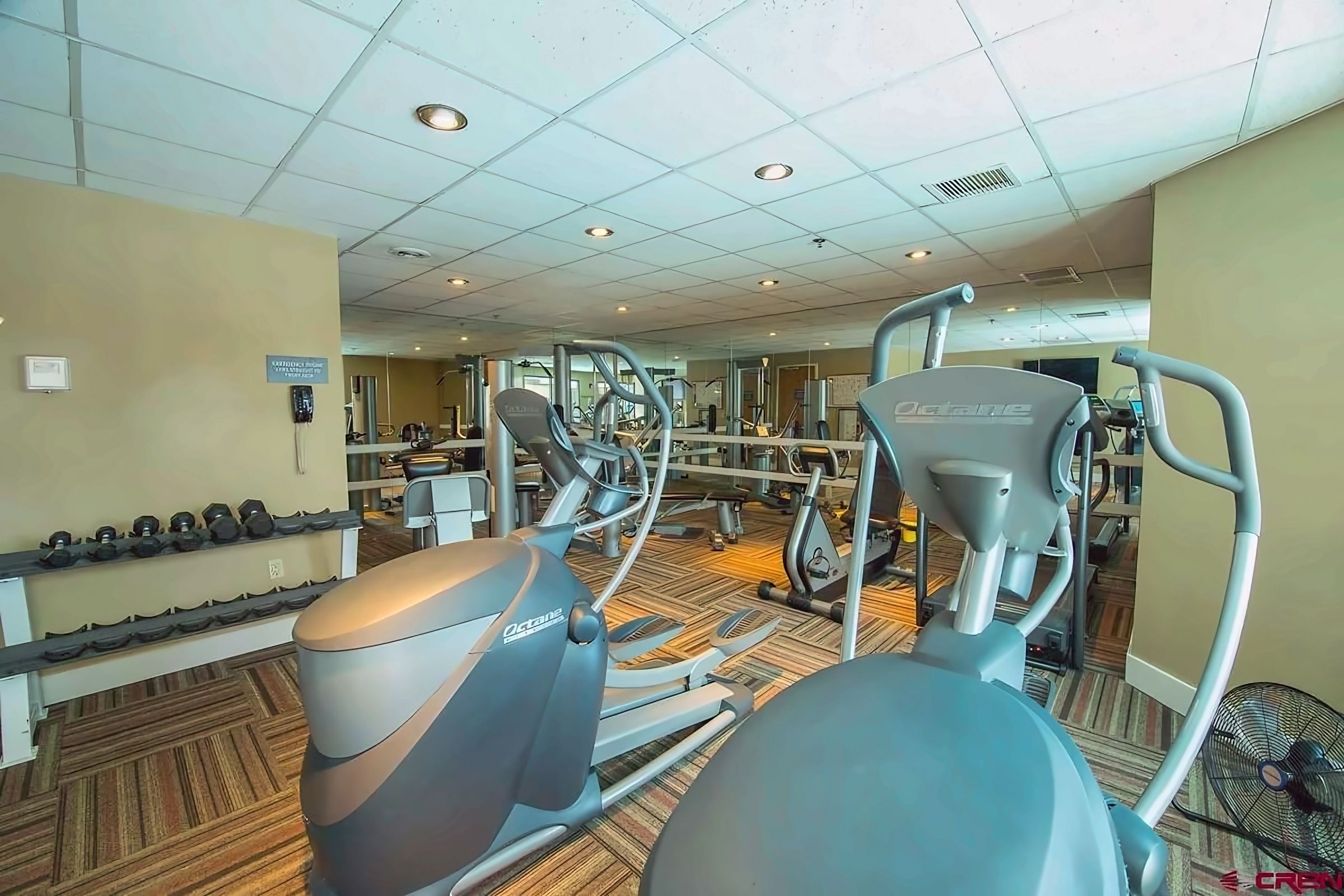 A gym with treadmills, elliptical machines, and free weights.