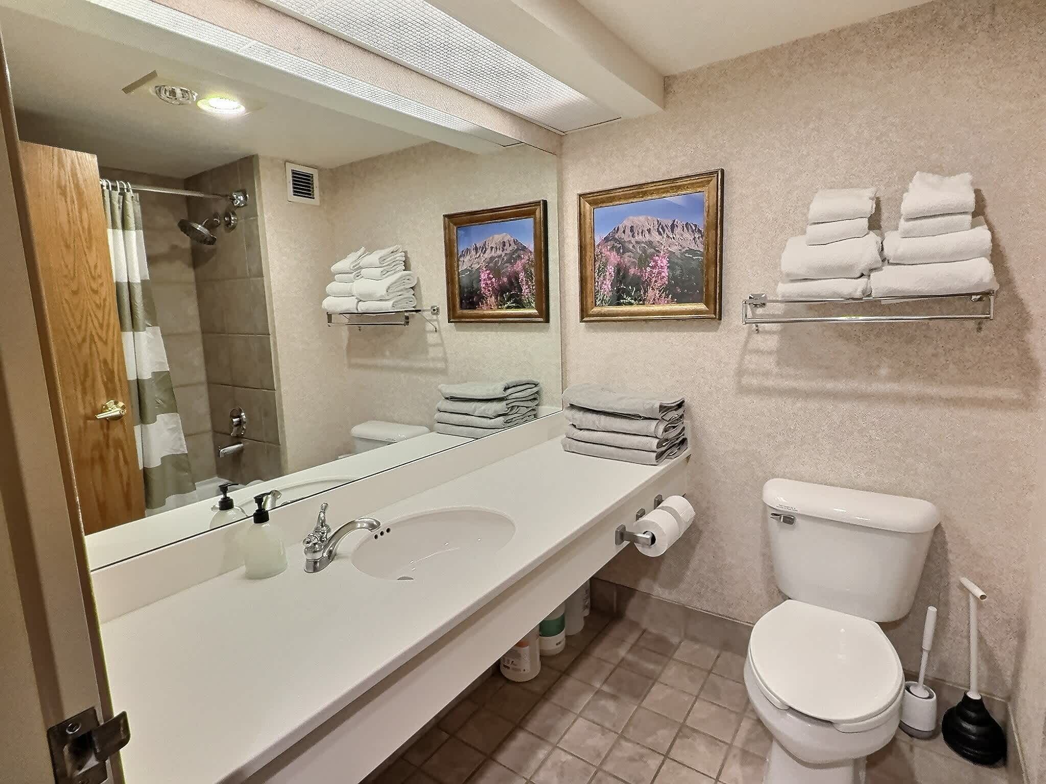 A modern bathroom with a large mirror, a sink, a toilet, and two framed pictures on the wall.