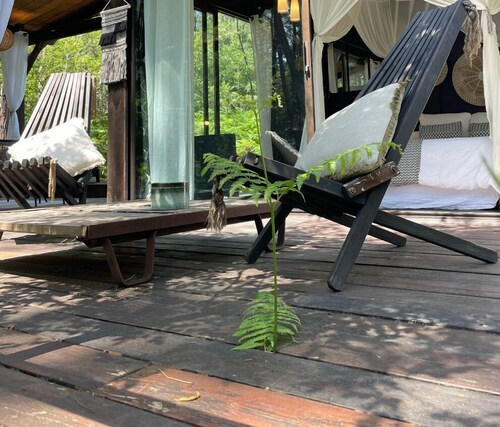 Cabane Dans les Arbres et Spa au sud Gironde