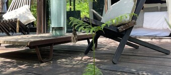 Cabane Dans les Arbres et Spa au sud Gironde