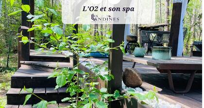 Cabane Dans les Arbres et Spa au sud Gironde