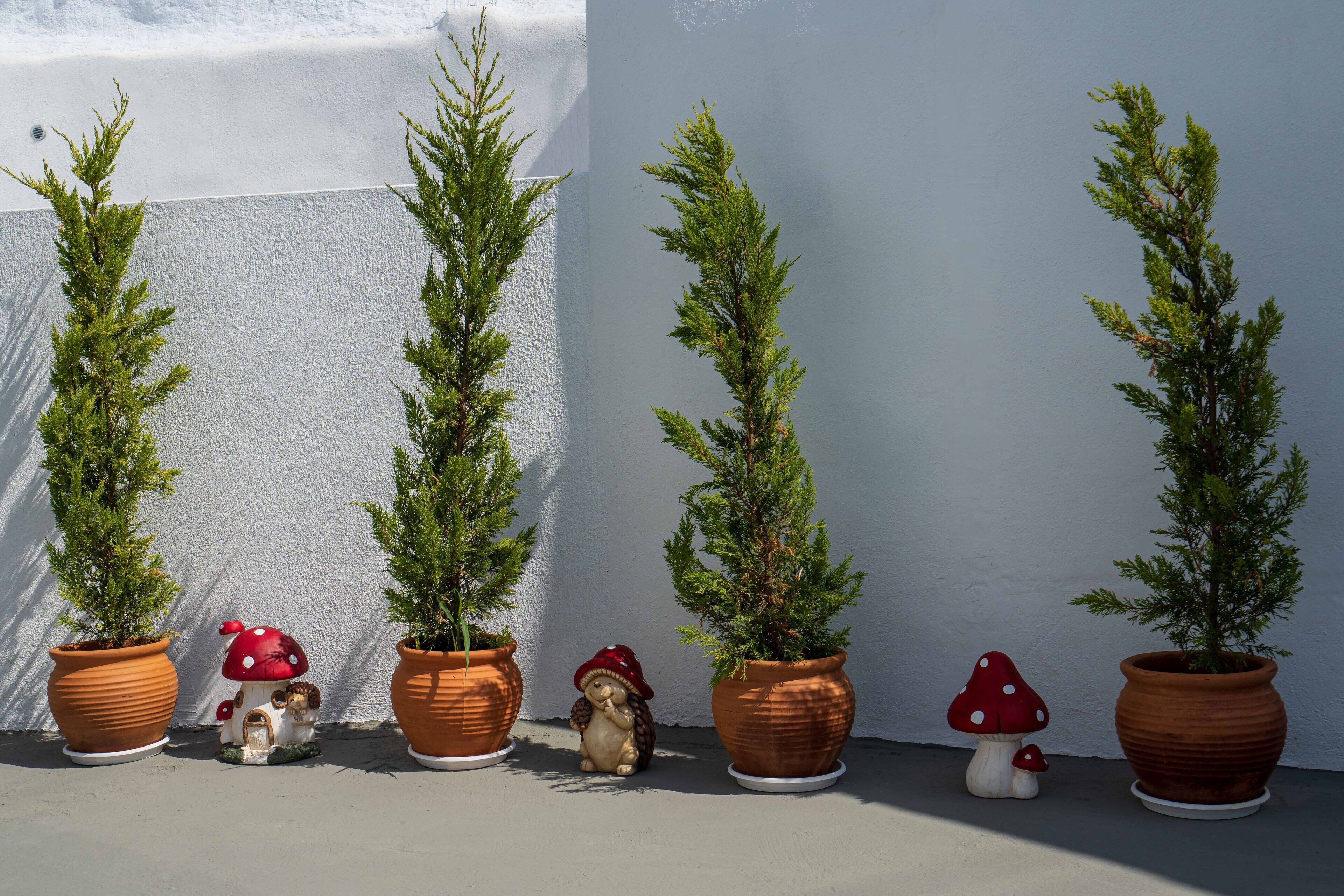Foto - Santorita Suites