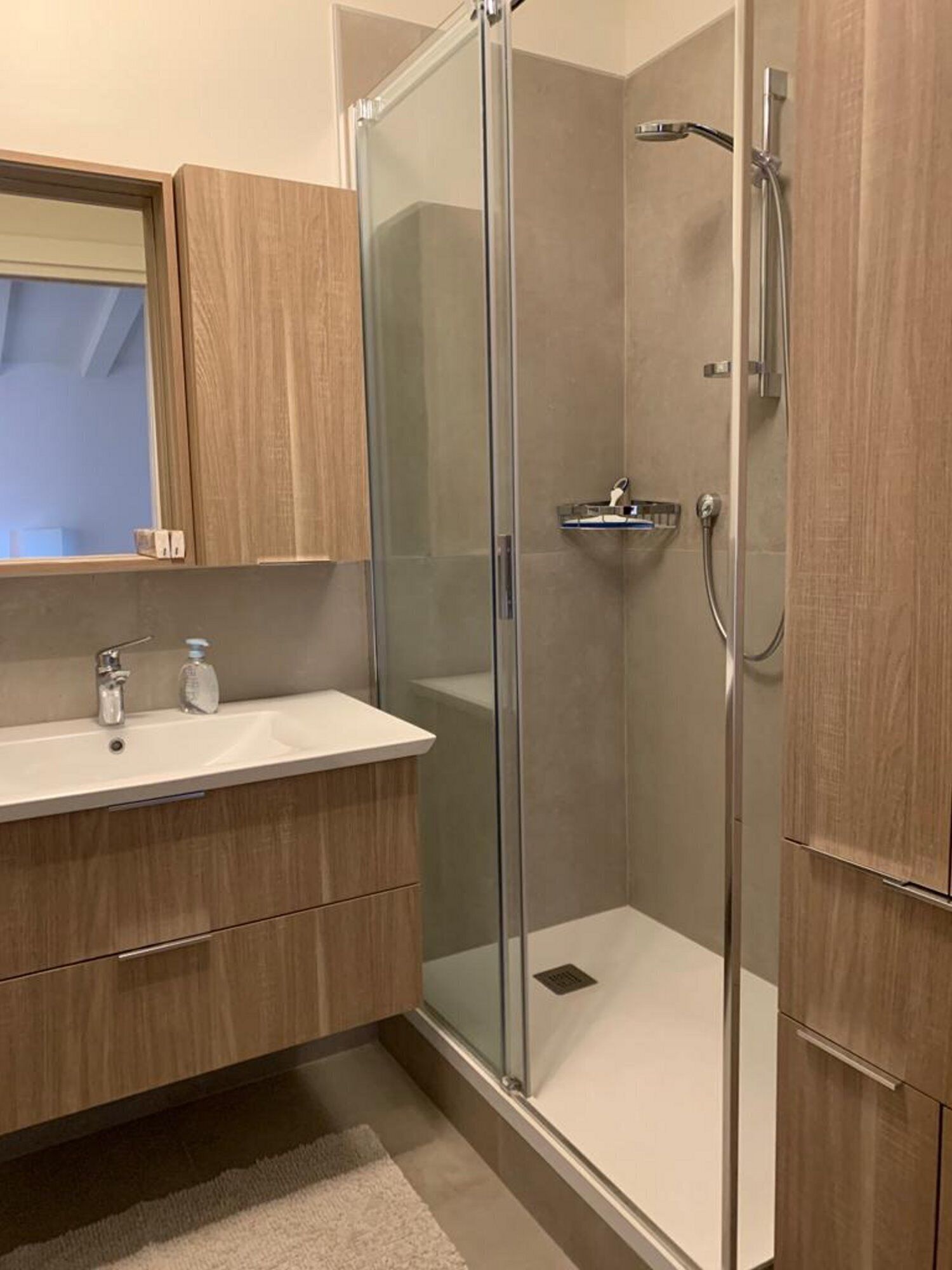 Large and bright apartment