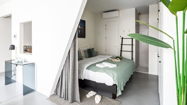 Een moderne slaapkamer met een bed, een bureau en een grote plant.