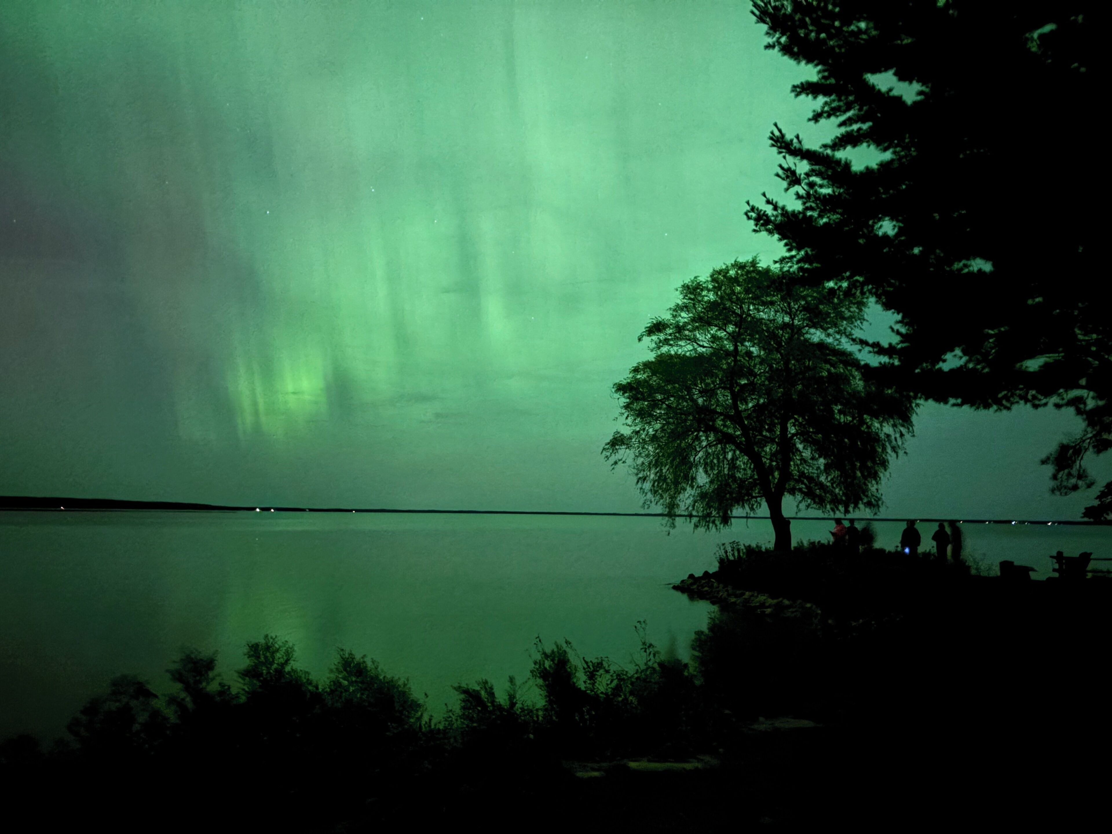 Una vista serena del lago, con la silueta destacada de un árbol y una superficie acuática tranquila que refleja el cielo.