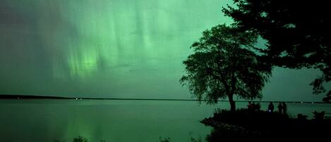 Una vista serena del lago, con la silueta destacada de un árbol y una superficie acuática tranquila que refleja el cielo.