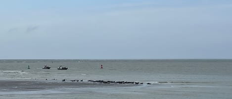 海灘