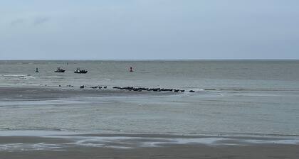 RĂȘves ensoleillĂ©s