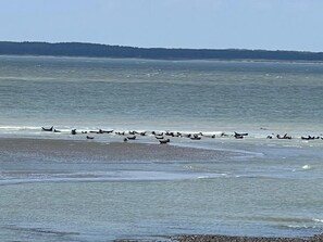 On the beach