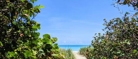 Sillas reclinables de playa, toallas de playa