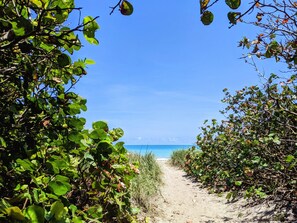 Liegestühle, Strandtücher
