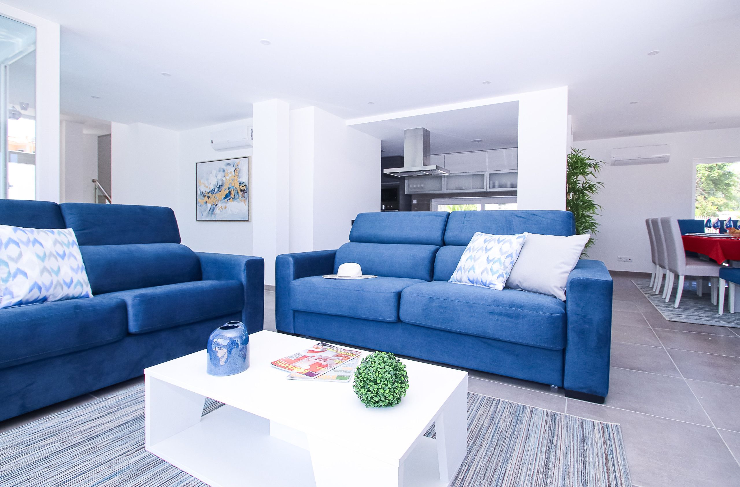 A modern living room with two blue sofas, a white coffee table, and a small plant.