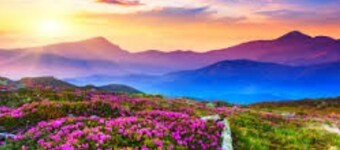 The  log  Home Retreat