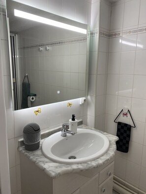 Shower, hair dryer, soap