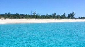 A clear turquoise sea with a sandy beach and dense vegetation in the background. - Casa Azul welcomes you to a stunning ocean view condo steps away from the beach (Bailey Town)