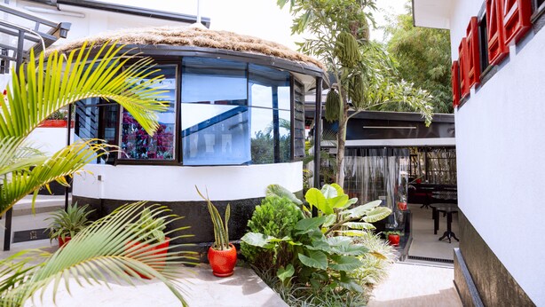 A modern building with a thatched roof, large windows, and a variety of potted plants.