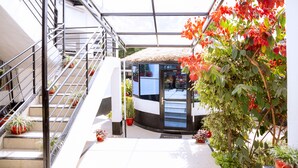 A modern building with a glass entrance, a staircase, and potted plants.