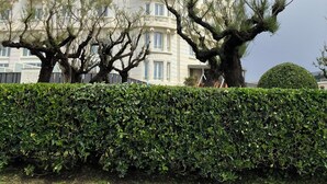 Un edificio grande de varios pisos con fachada curva, balcones y una estructura en forma de cúpula en la parte superior.