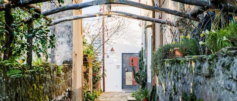 Stroll through a charming cobblestone alleyway lined with lush greenery and rustic stone walls.