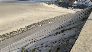 Udsigt over kysten med en sandstrand, en vej med autoværn, og bygninger i baggrunden.