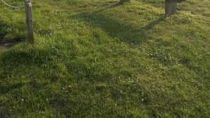 En campingplads med huse, et legeareal og en picnicplads.