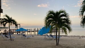 A beach with lounge chairs and umbrellas, a wooden pier, and palm trees. - Tropical Paradise (Islamorada)