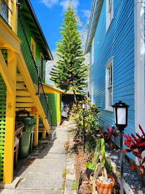 Property grounds - Casa Papaya - Hidden Treasure Historic St.Augustine (St. Augustine)