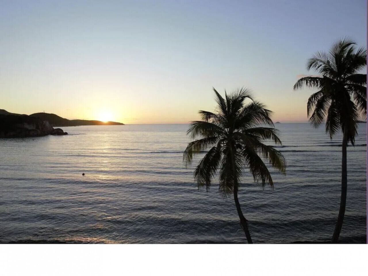 A sunset over a calm sea with palm trees silhouetted against the sky.