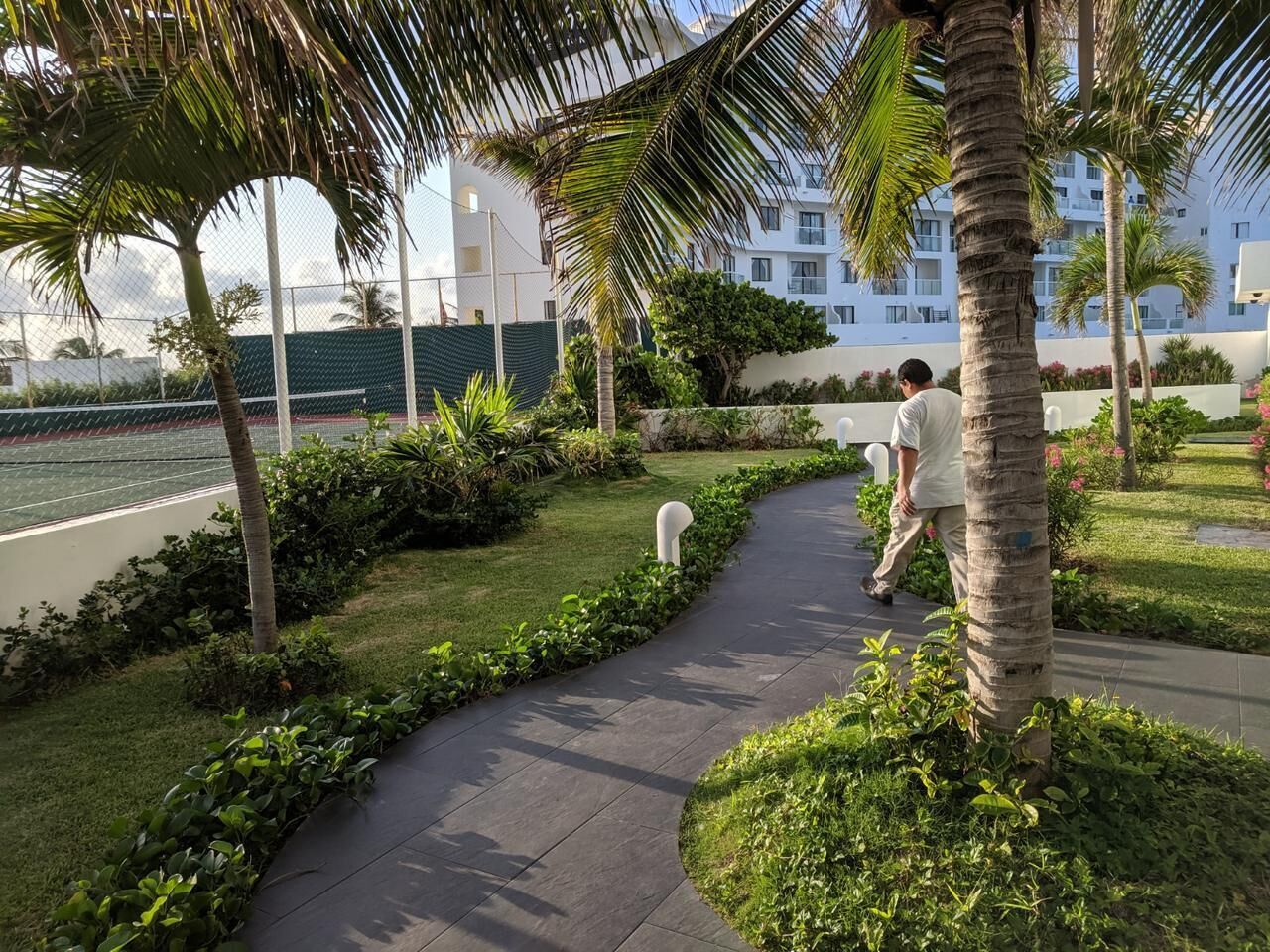 Un chemin bordé de palmiers et de verdure, menant à un bâtiment doté de balcons.