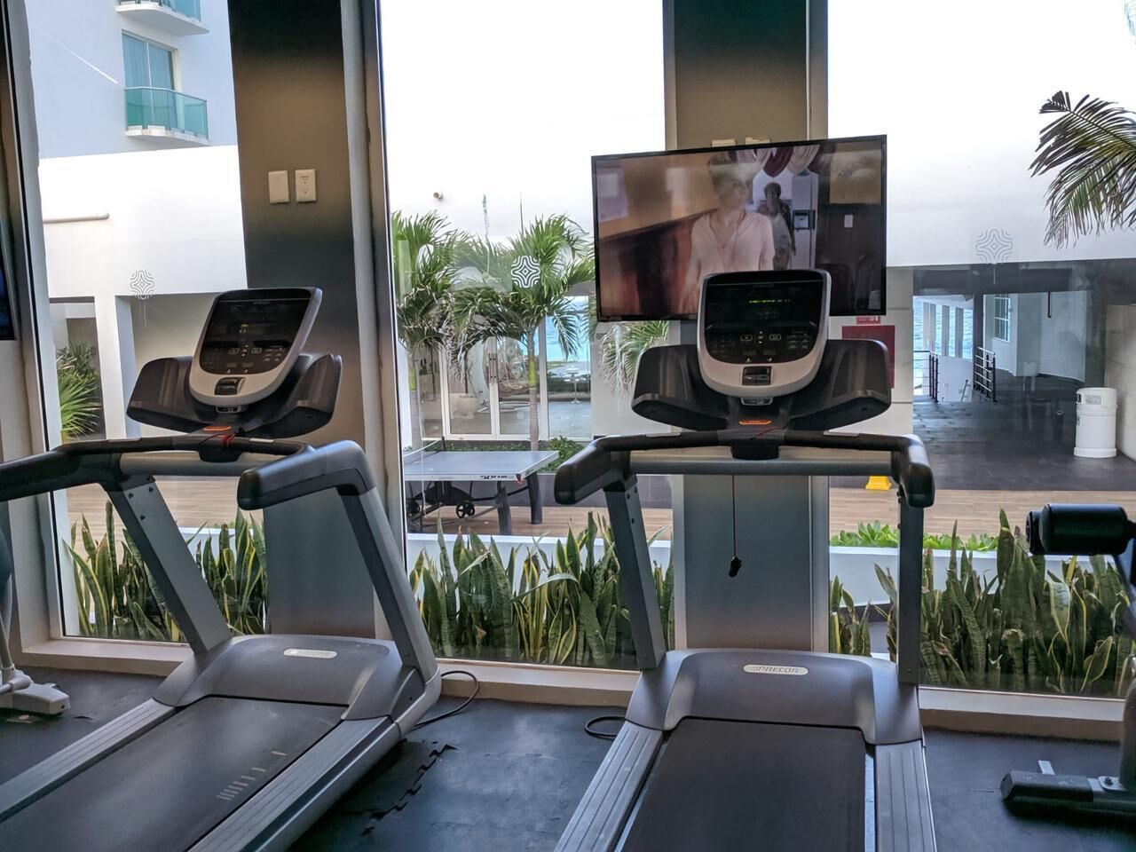 A gym with treadmills and a TV screen, large windows, and indoor plants.
