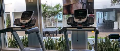 A gym with treadmills and a TV screen, large windows, and indoor plants.