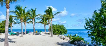 Intimate Small Campground in the Florida Keys.