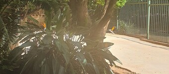 Anopam Guest House