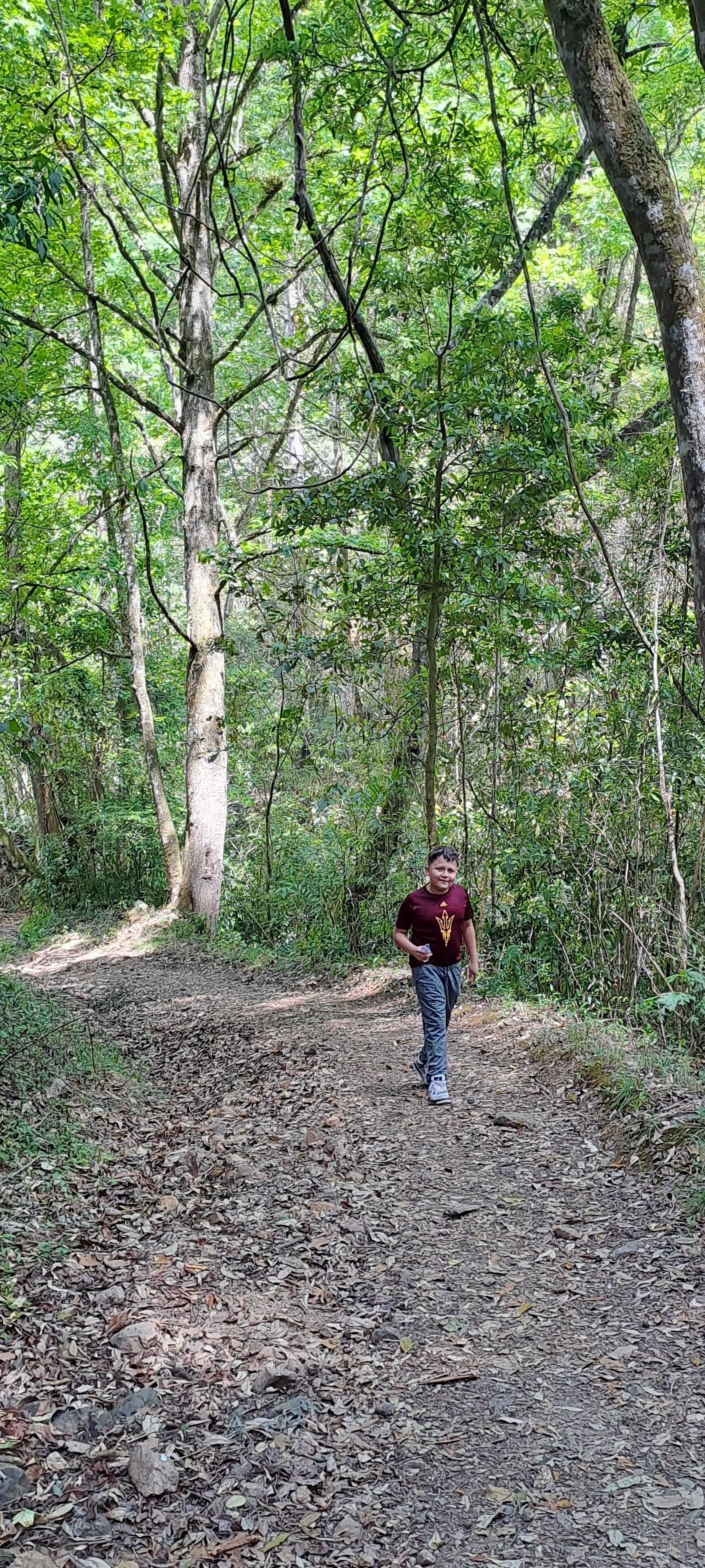 A forested area with a dirt path.