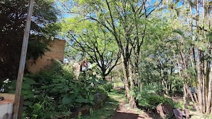 A garden with a brick wall, various trees, and a pathway. - Villa Chelsey (Valle de Angeles)