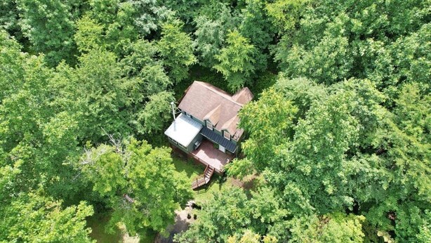 An aerial view of a house surrounded by dense green trees.