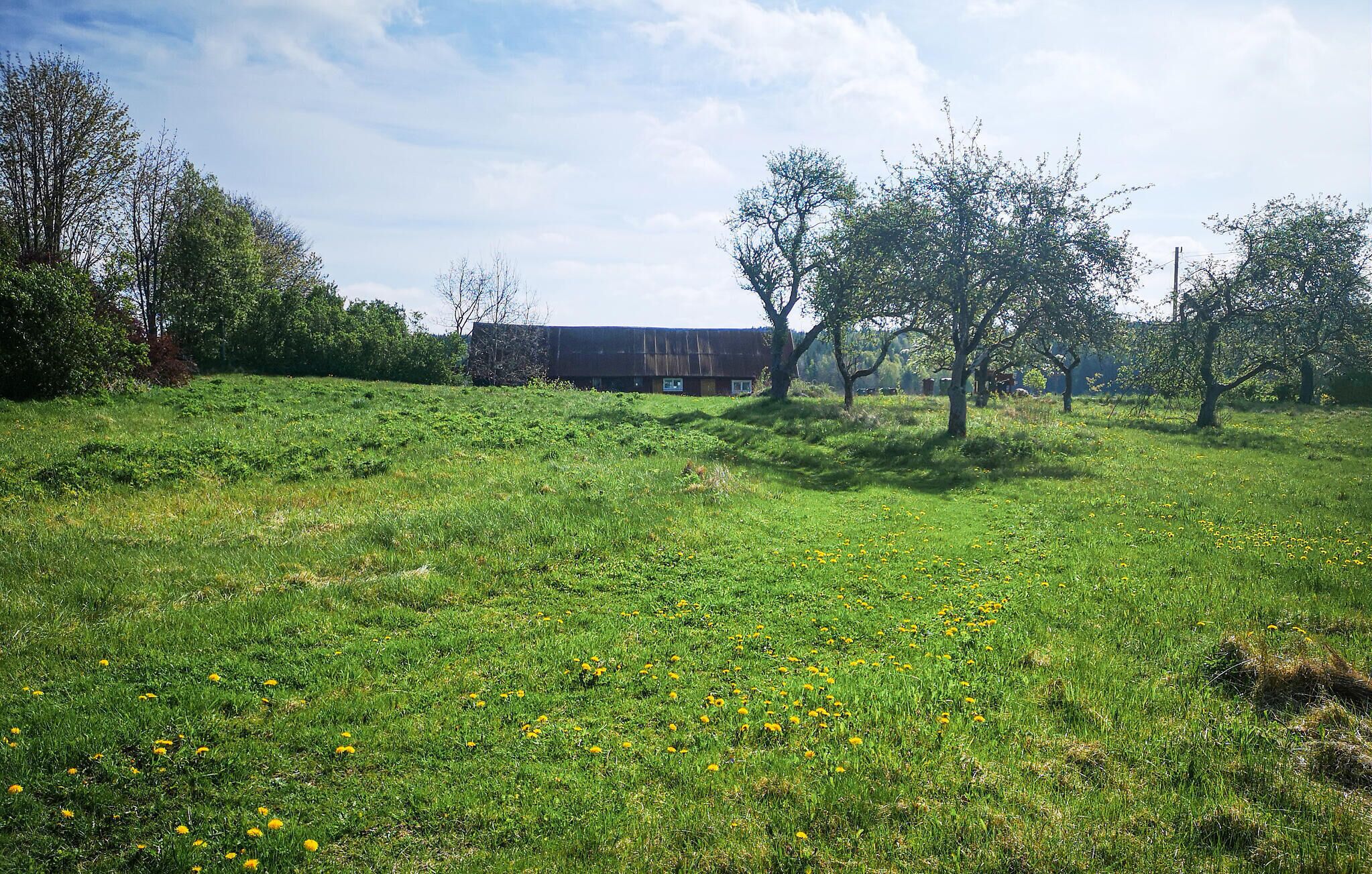 A rural landscape with a barn and trees.