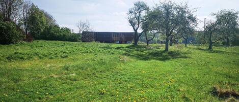 A rural landscape with a barn and trees.