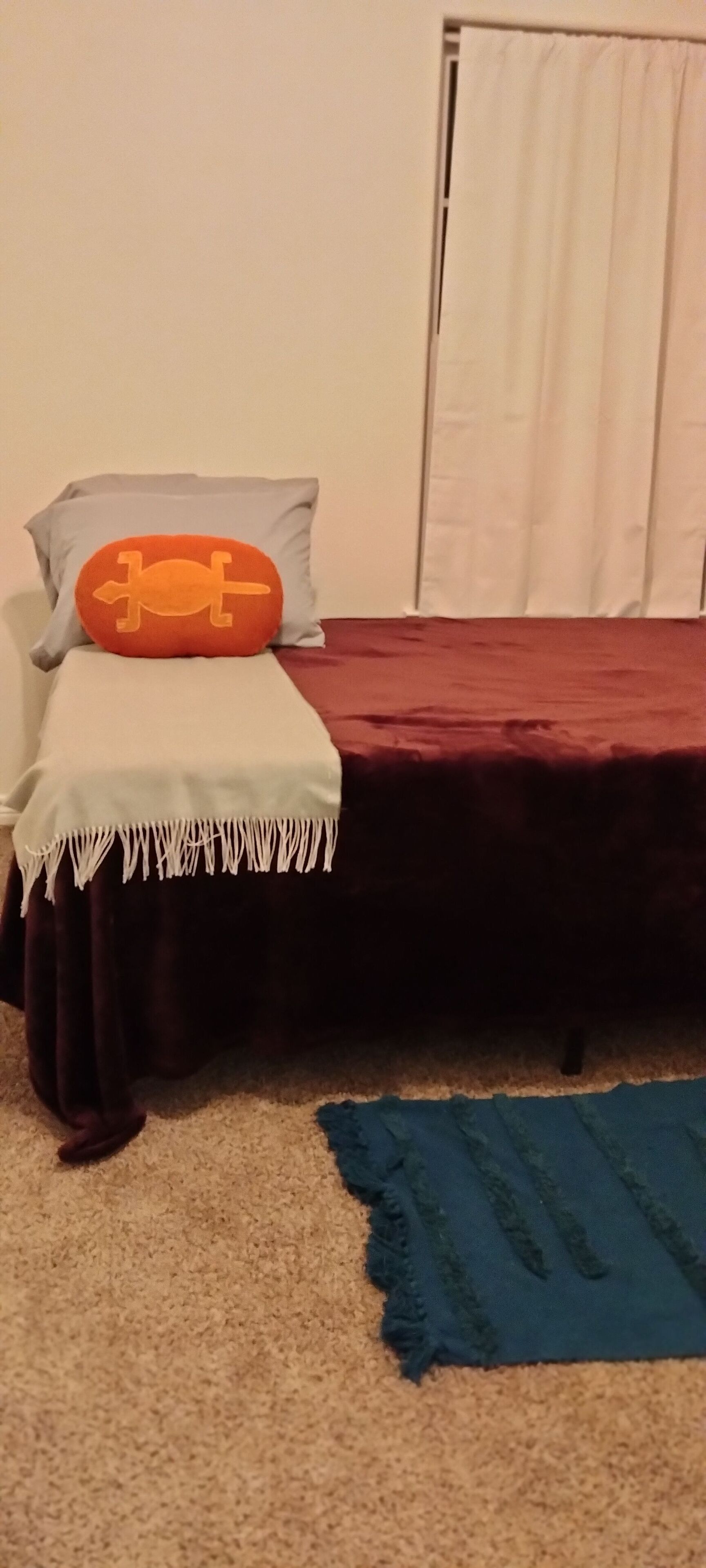 House near Lake Conroe