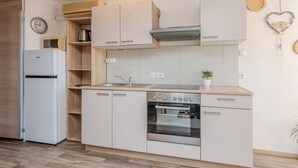 A compact kitchen with a built-in oven, a sink, and a stove. There is a clock on the wall and a small plant on the counter. - 1 bedroom cozy apartment in Vir (Vir)