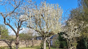 Un árbol con flores blancas en una zona cubierta de hierba, con un muro de piedra y un edificio al fondo.