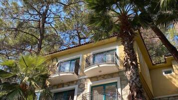 Economy-rum | Minibar, gratis wi-fi och sängkläder